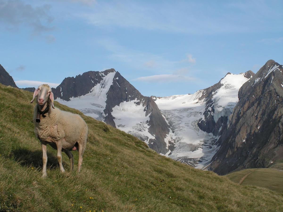 Appartment Venter Bergwelt Eksteriør bilde
